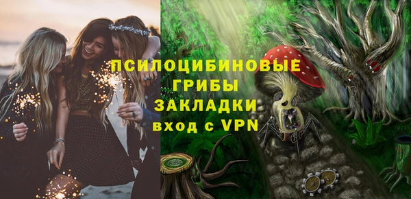ECSTASY Алзамай