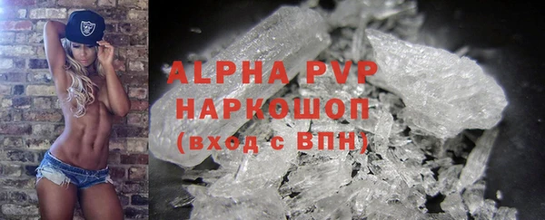 ECSTASY Алзамай