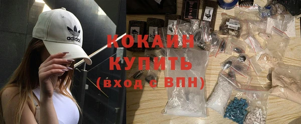 ECSTASY Алзамай